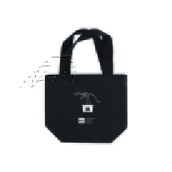 Westbourne Mini Canvas Bag