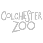 ColchesterZoo