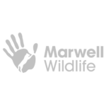 MarwellZoo