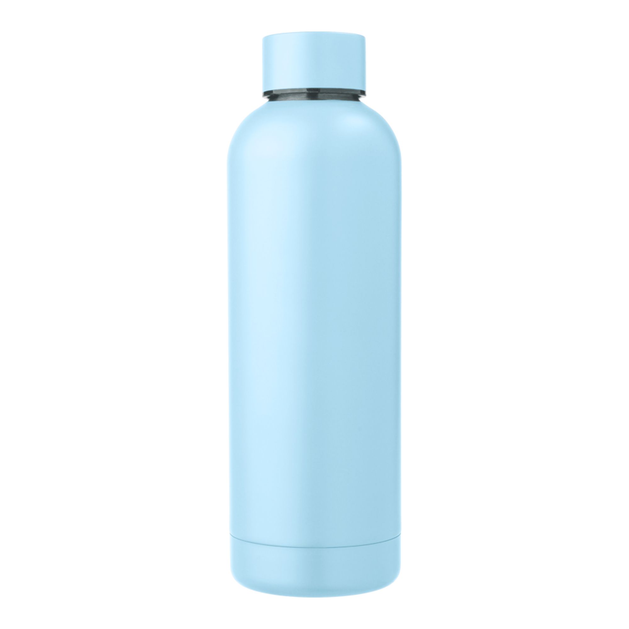 Recycled Steel Bottle