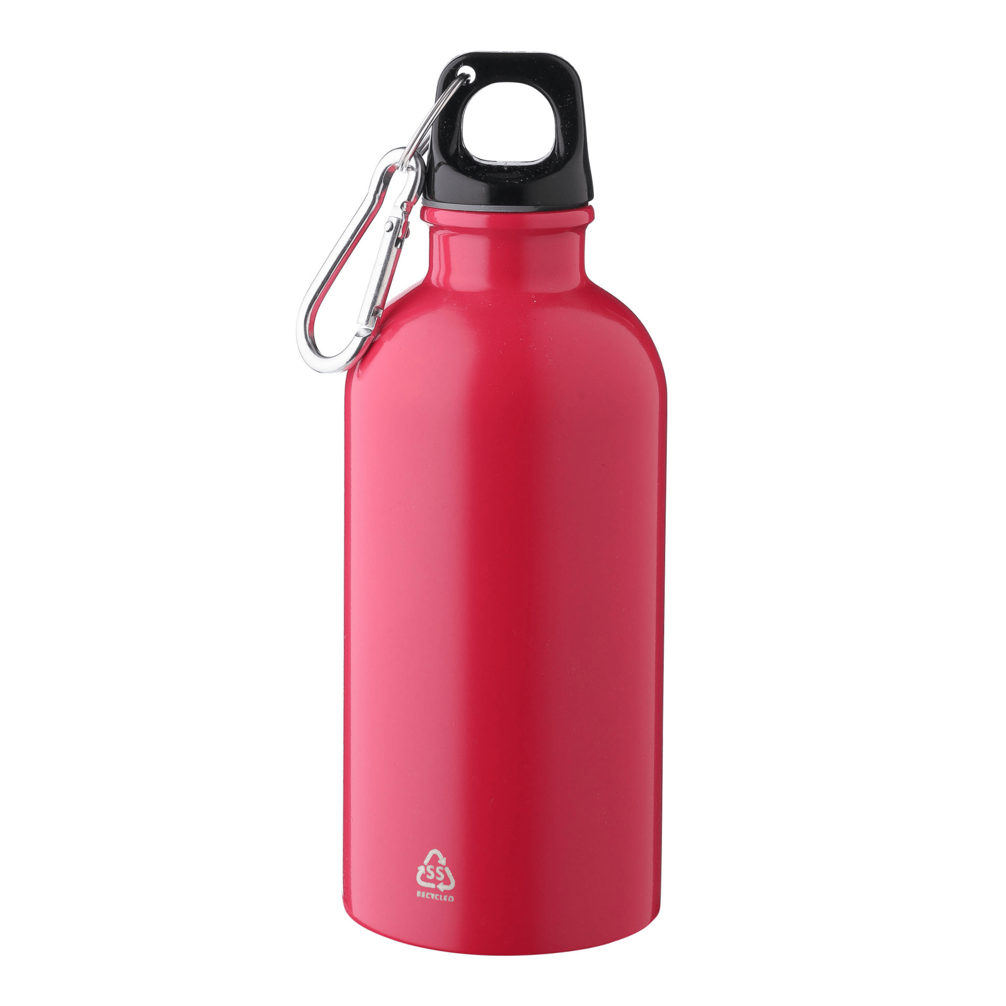 Recycled Steel Bottle with Carabiner