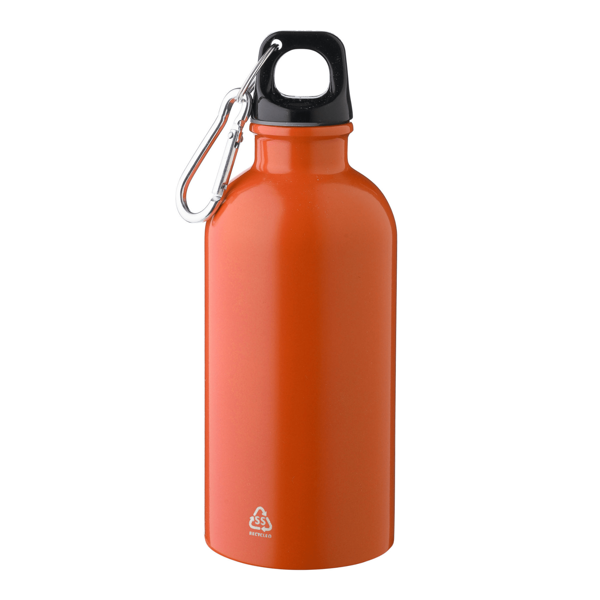 Recycled Steel Bottle with Carabiner