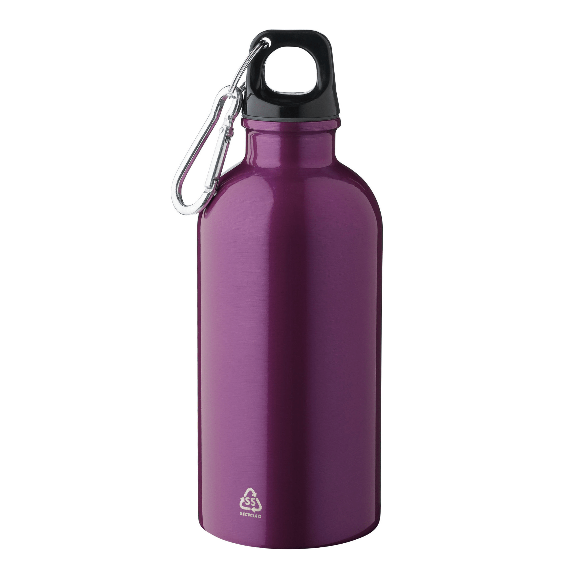Recycled Steel Bottle with Carabiner
