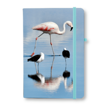 Native Nature Flamingo Warwick Notebook